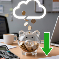 IT Cost Optimization